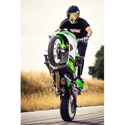 Rotor Brake Disc Handbrake Stunt 300 mm Kawasaki 636 ZX6-R ER6 Radial Dual Left