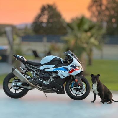 Crash Cage Engine Guard Bar BMW S1000RR (2019-2026) Street Stunt Gymkhana Track