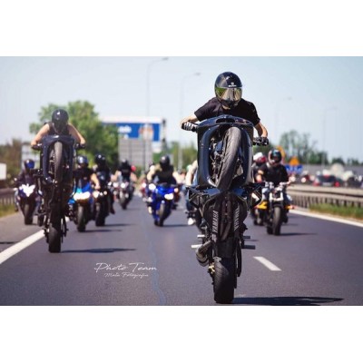 Crash cage – engine guard crash bar Harley Davidson XL XR 1200 Sportster (04-19) – stunt